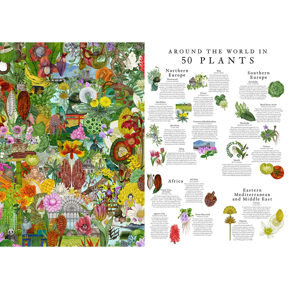 Around the World in 50 Plants: A Jigsaw Puzzle - Image 2