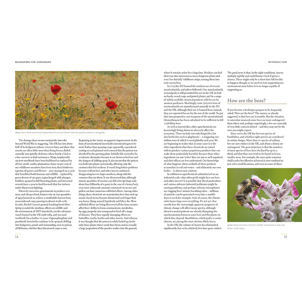 Beekeeping for Gardeners - Image 4
