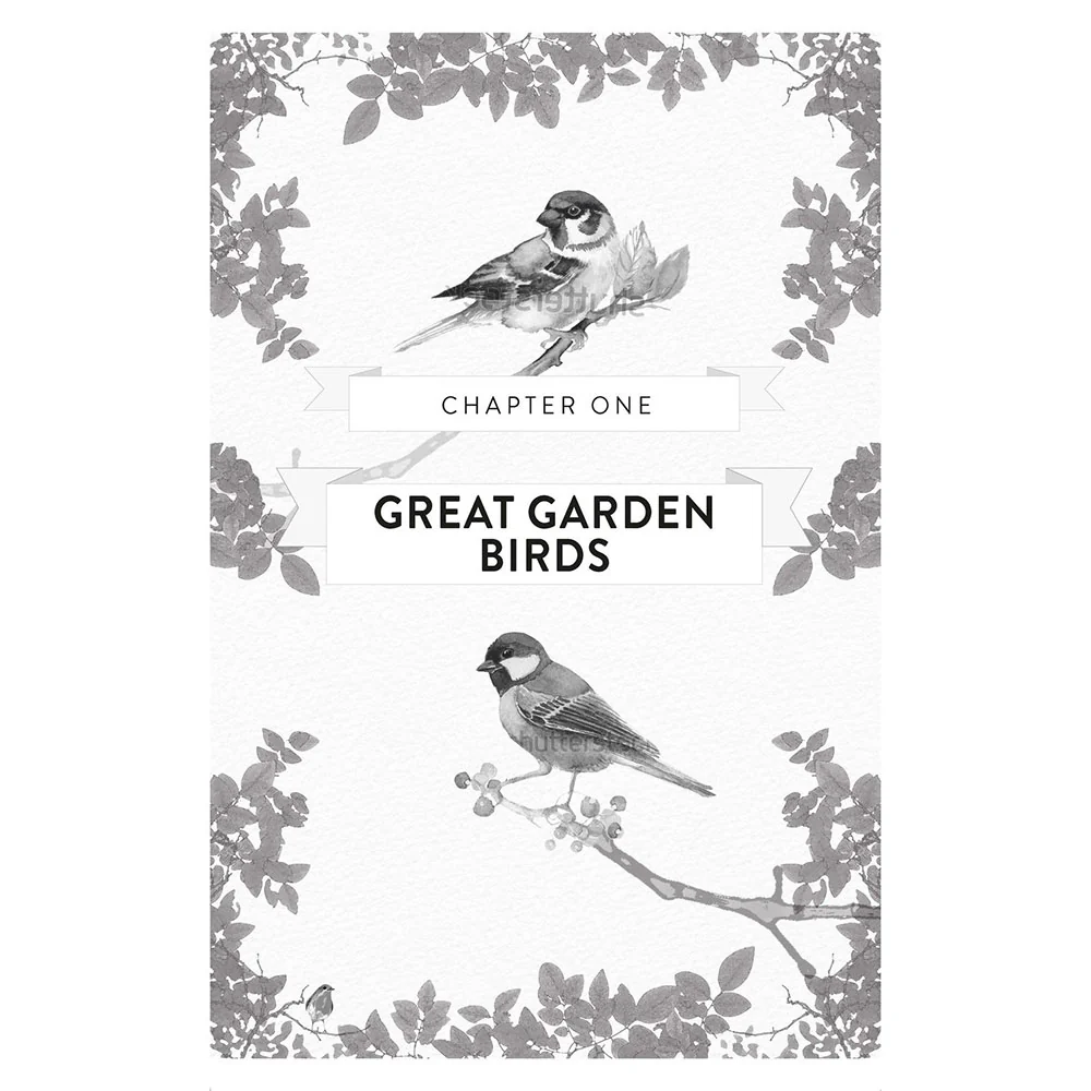 RSPB Great British Birdwatcher's Puzzle Book - Image 2